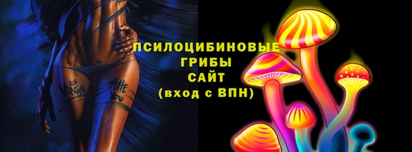таблы Белокуриха