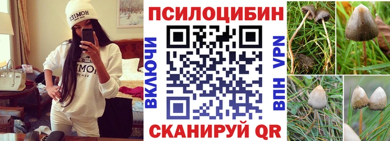 Псилоцибиновые грибы мицелий  магазин  наркотиков  Томилино 